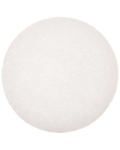 MSA Digital Pump Dust Filter