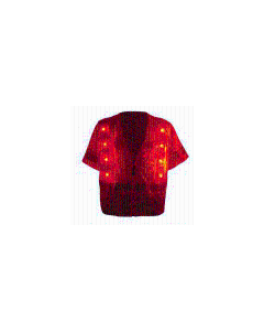 FrogWear HV - High-Visibility Lightweight Mesh Safety LED Vest-XL - GLO-12LED-XL
